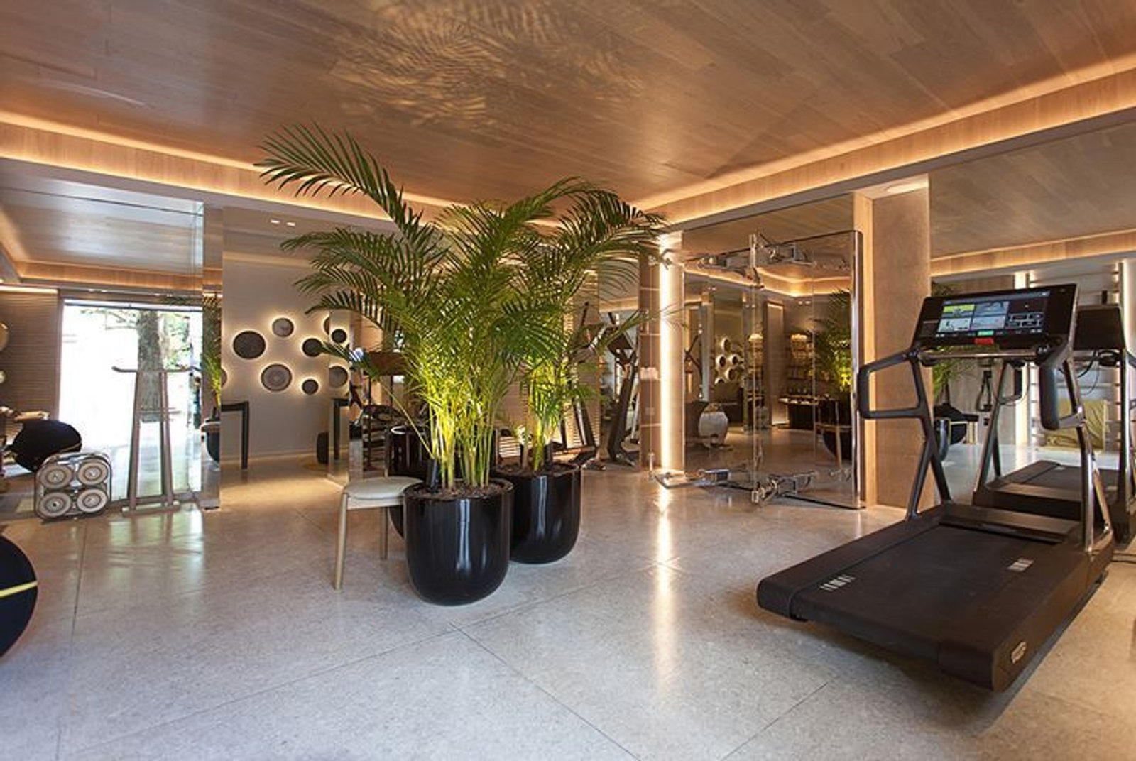 Gimnasio moderno con plantas y luces indirectas — proyecto Casa Foa Distrito Elcano 2021, por Vite Porcellanato, en Buenos Aires