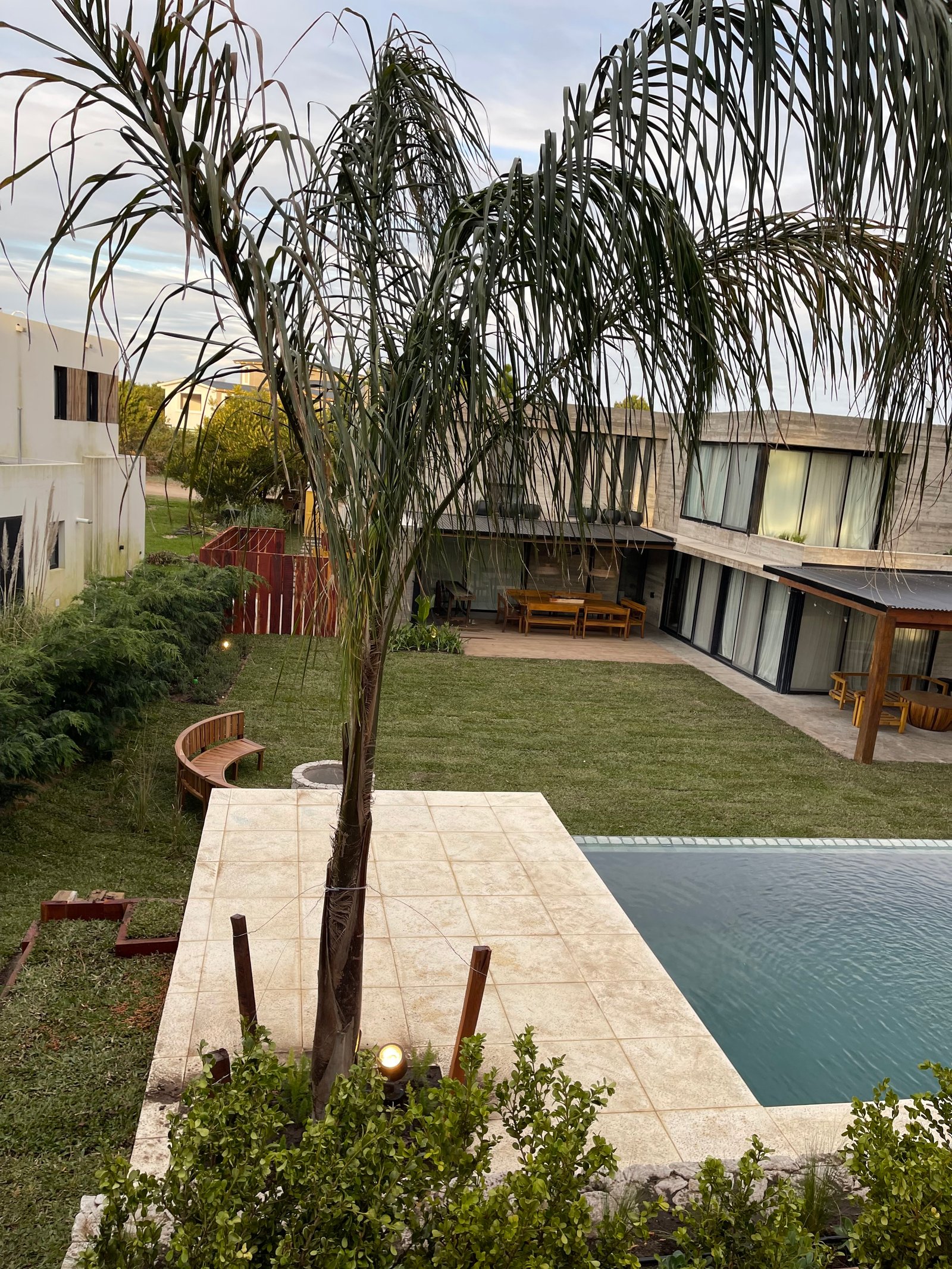 Piscina moderna com banco curvo e palmeira — projeto COSTA ESMERALDA, por Baires Green, em Pinamar