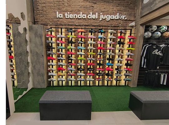 Foto del proyecto