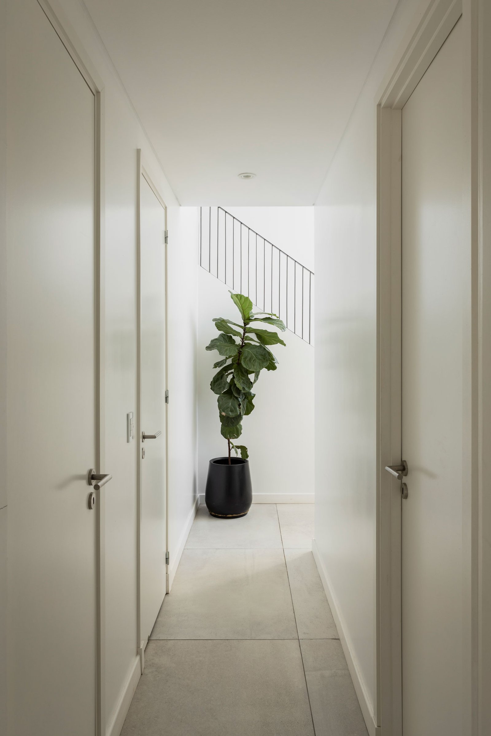 Corredor moderno com portas brancas e planta grande — projeto REFORMA GDLT, por Rastro Estudio, em Nordelta