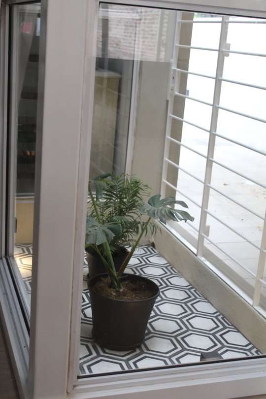 Foto del proyecto