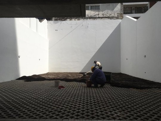 Foto del proyecto