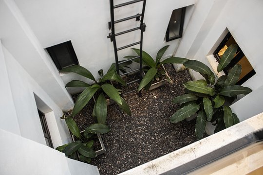 Foto del proyecto
