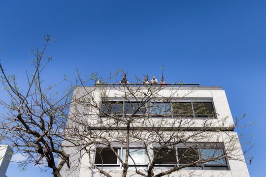 Foto del proyecto