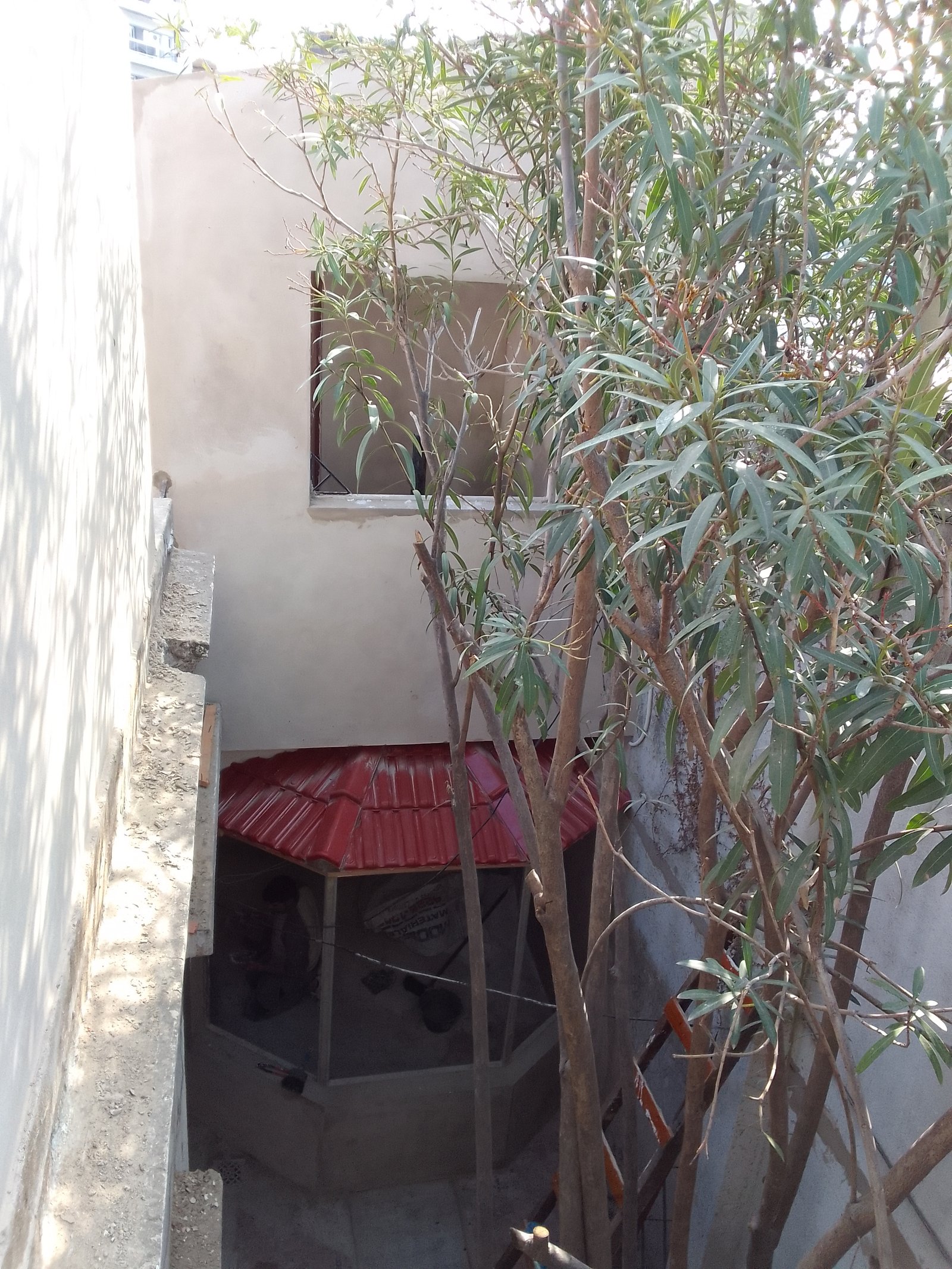 Patio con árbol y gazebo techado rojo — proyecto 2 Casas en Lanus, por Arquitecto Guido Niccoli, en B1824 Lanús