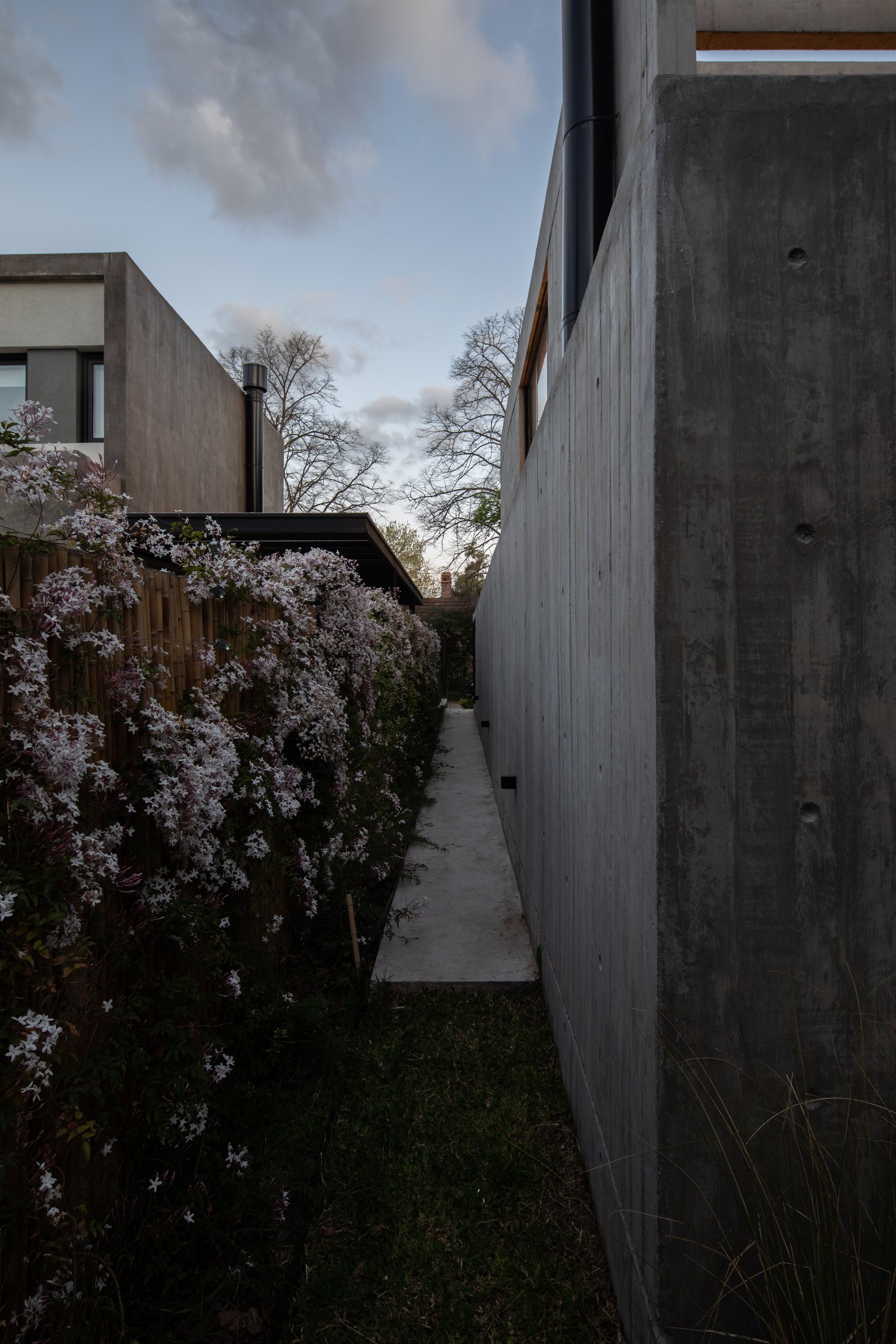 fachada moderna de concreto com parede verde e caminho — projeto Casa Emilia, por Grupo CRBN, em Parque Leloir