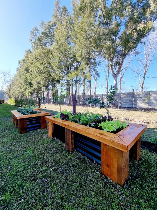 Foto del proyecto