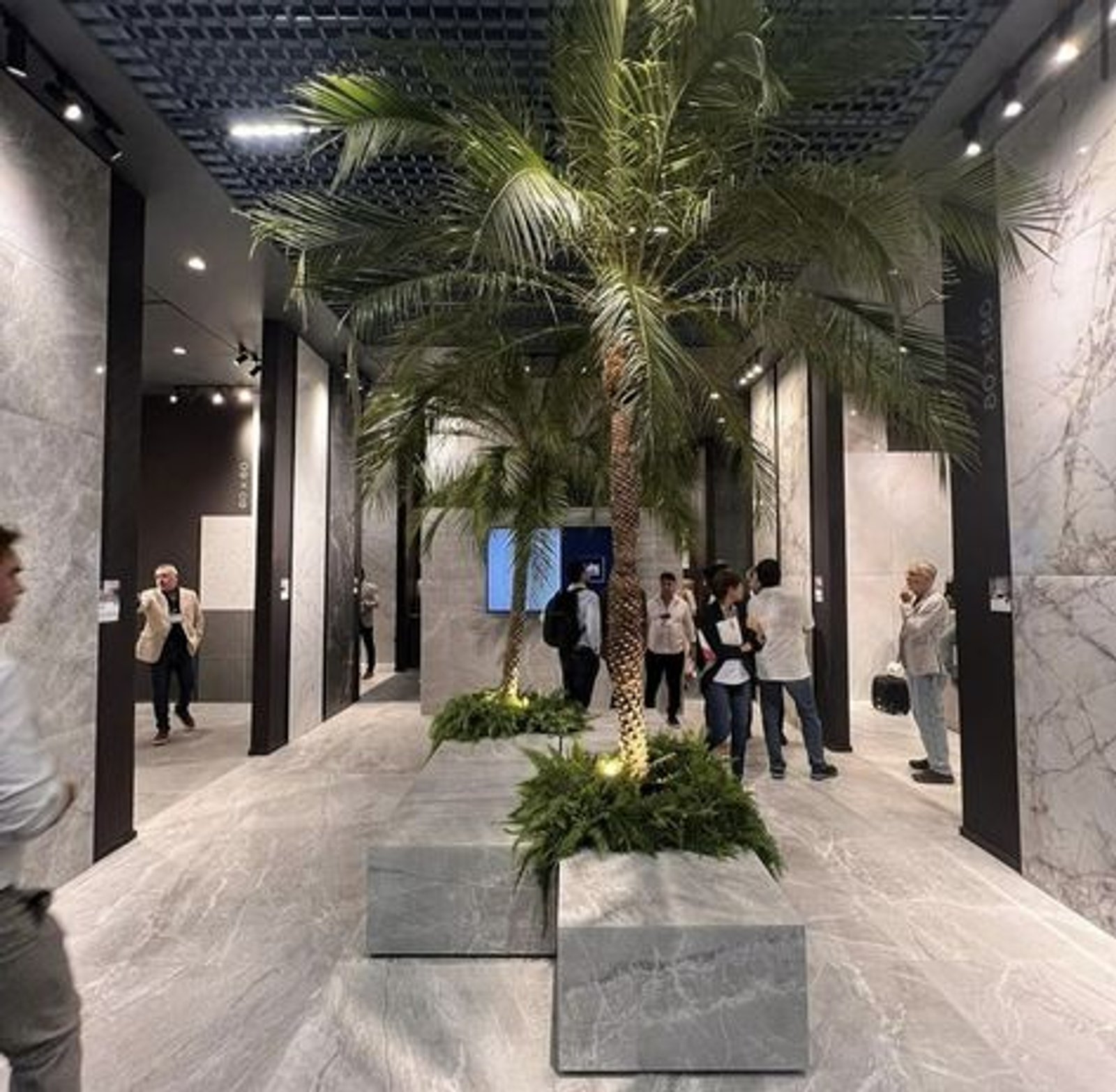 Showroom moderno con palmeras interiores y revestimientos de mármol — proyecto Expo Revestir 2024, por Vite Porcellanato, en São Paulo