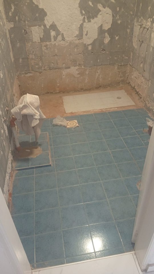 Foto del proyecto