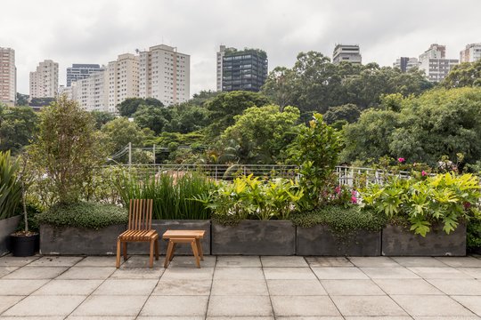 Foto del proyecto