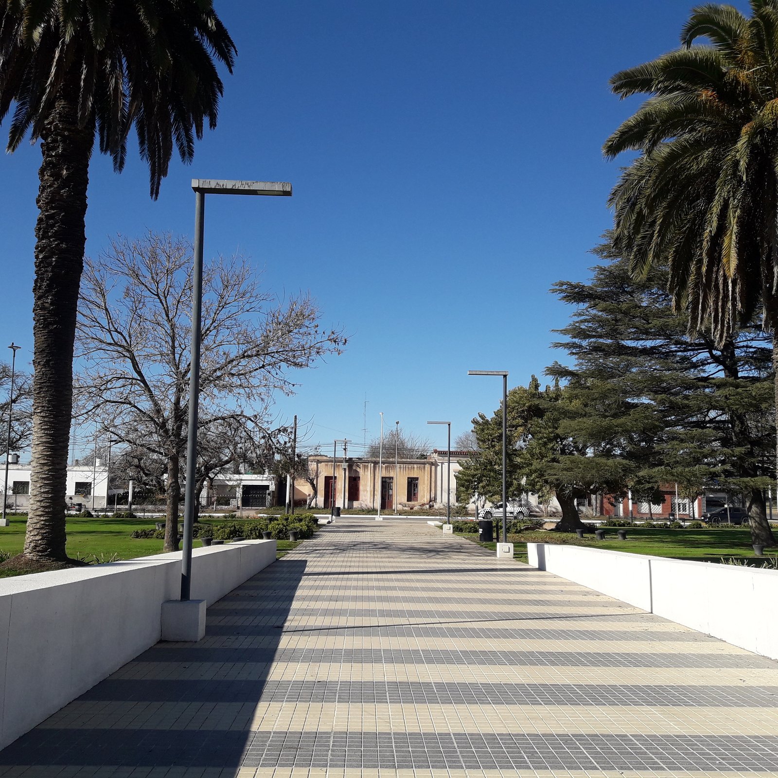 fachada moderna con palmeras y camino ajardinado — proyecto Plaza General San Martín, por LM arquitecta+paisajista, en RN9 271