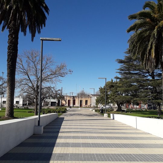 Foto del proyecto