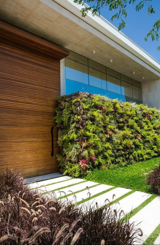 Casa moderna con puerta de madera, jardin vertical y ventanal azul — proyecto Paisagismo, por Demian Golovaty