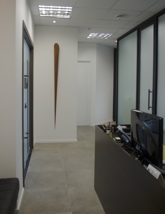 Foto del proyecto