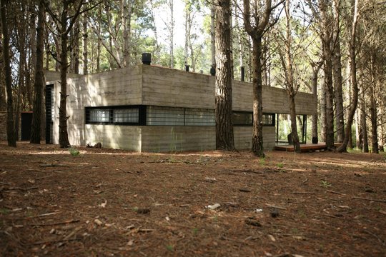 Foto del proyecto