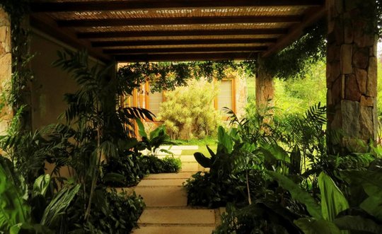 Foto del proyecto
