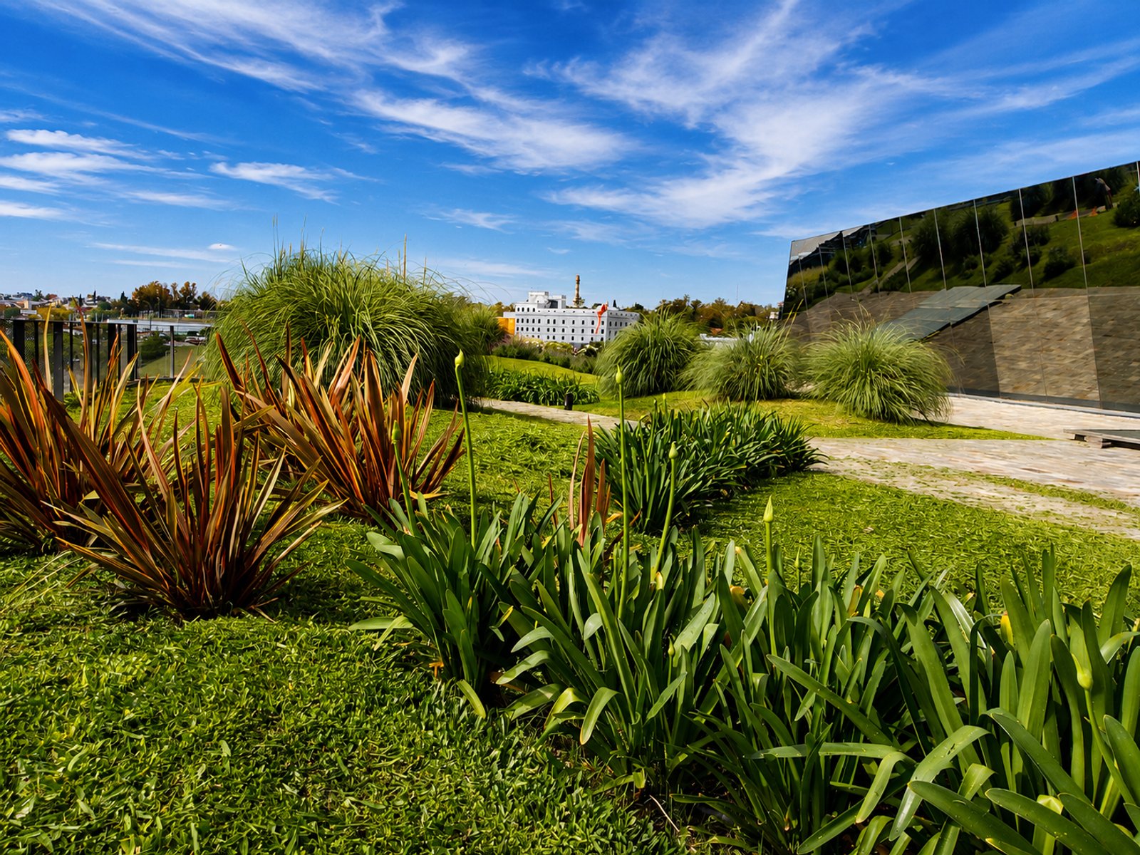 Jardín elevado con vegetación exuberante y edificio moderno — proyecto Casa de Gobierno :: Córdoba :: Terraza verde :: Acompañamiento STIPA Arte Natura, por STIPA Arte Natural, en 