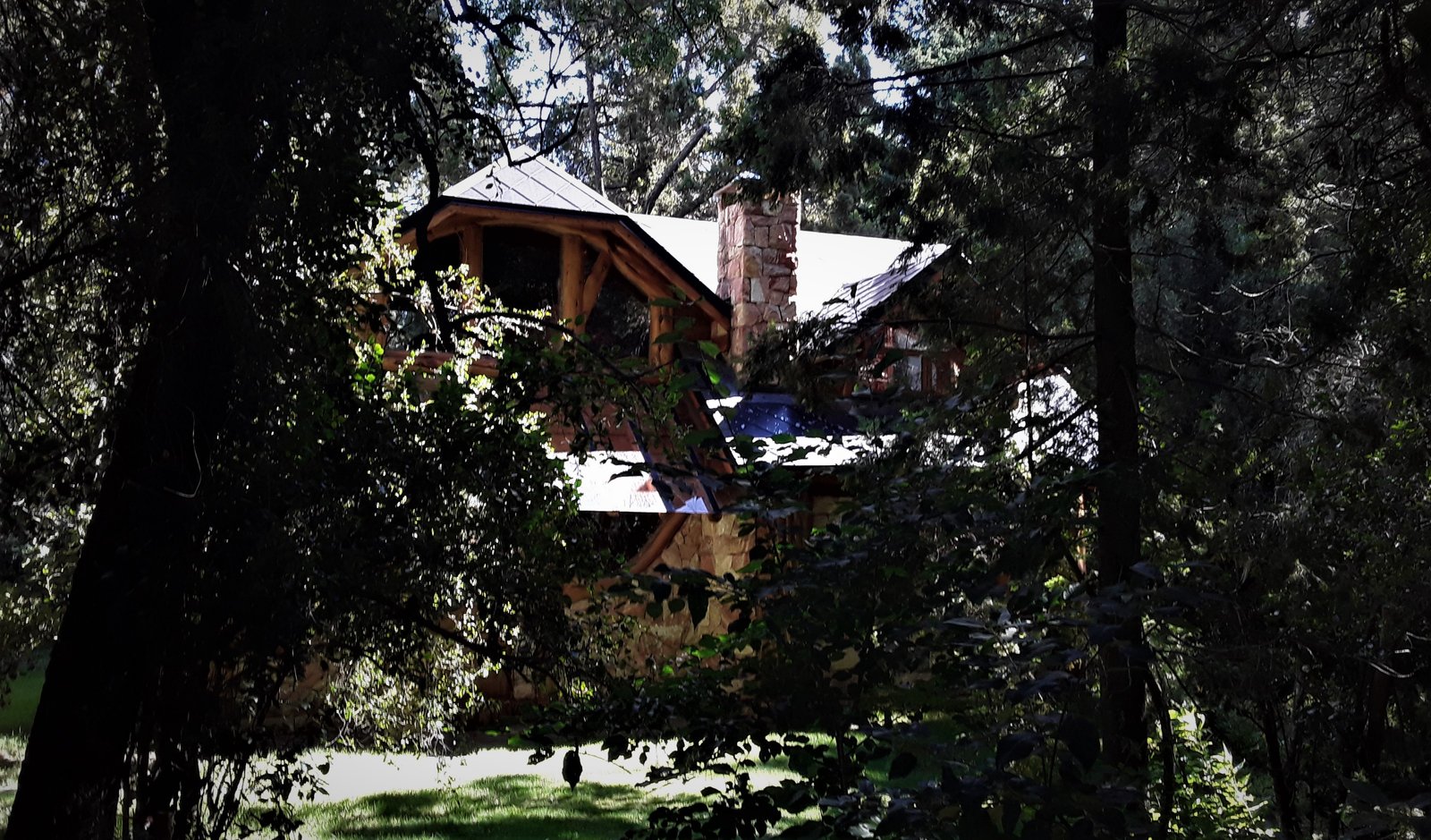 Casa de madera rústica oculta entre árboles — proyecto Casa Familiar VILLA ARELAUQUEN - SAN CARLOS DE BARILOCHE, por arquiga10573853, en San Carlos de Bariloche