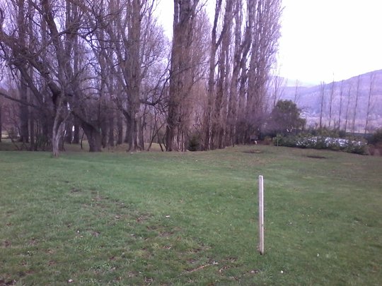 Foto del proyecto