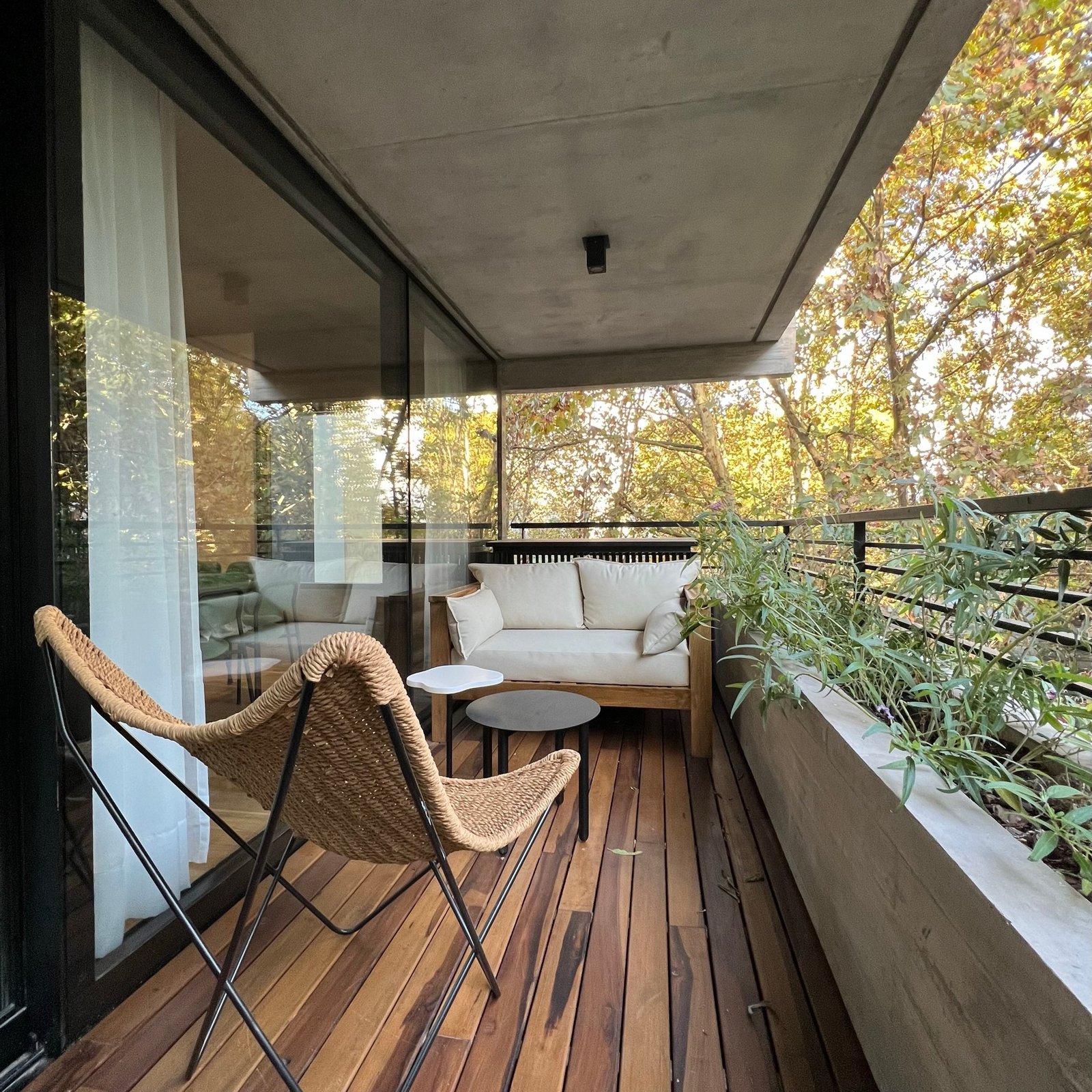 Balcón moderno con deck de madera y vista a árboles — proyecto Guatemala, por MDBK Arquitectura, en Palermo