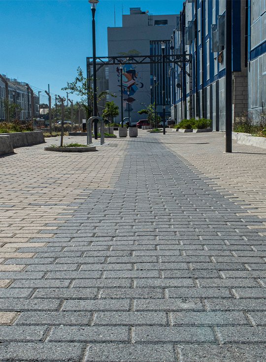 Foto del proyecto