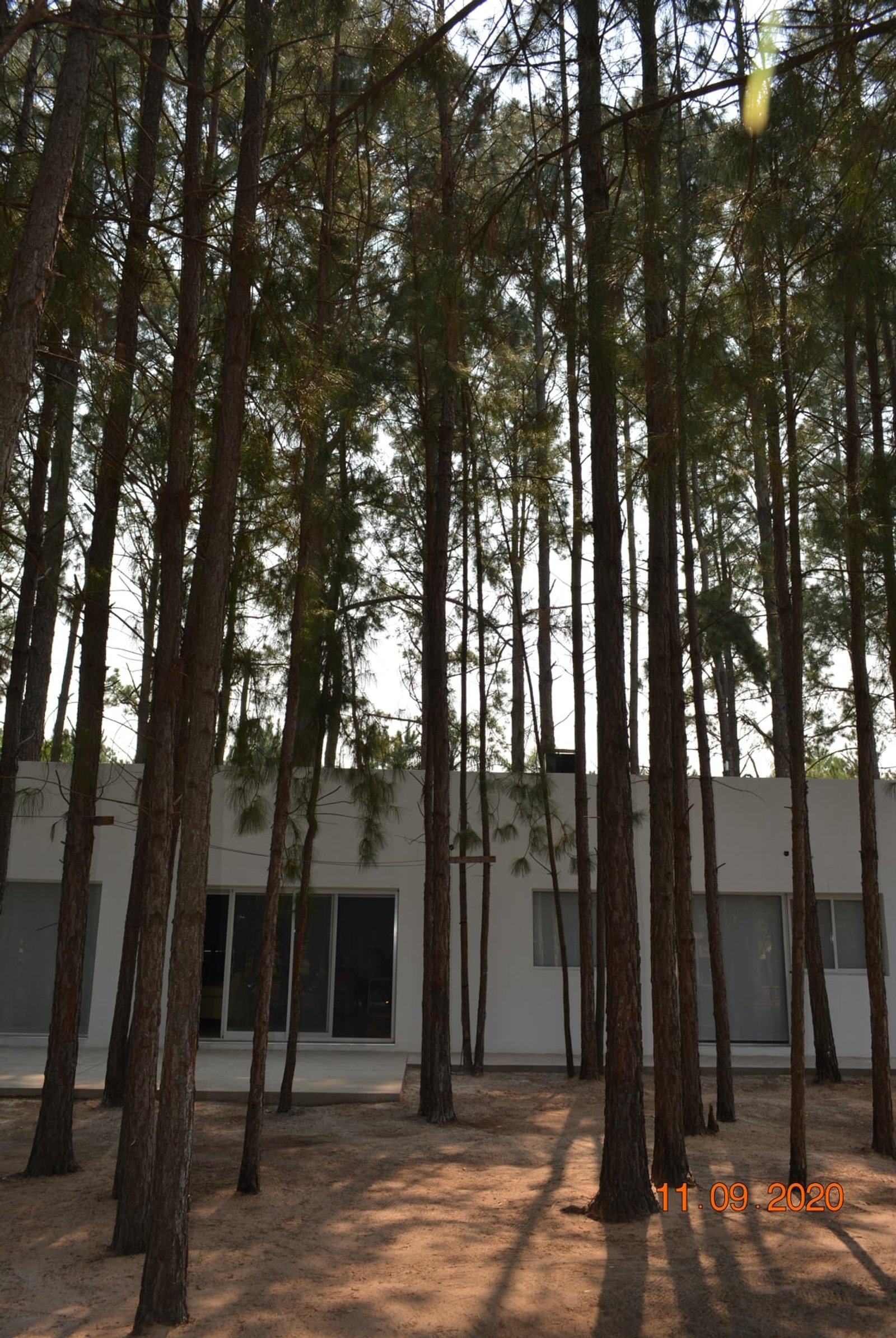 fachada de casa moderna entre pinheiros — projeto Casa en el Bosque, por Arquitecto Gustavo Maidana, em Santa Ana de los Guácaras