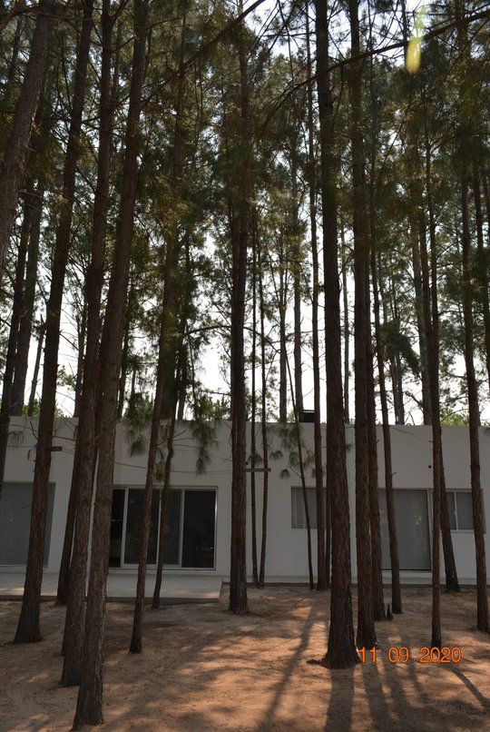 Foto del proyecto