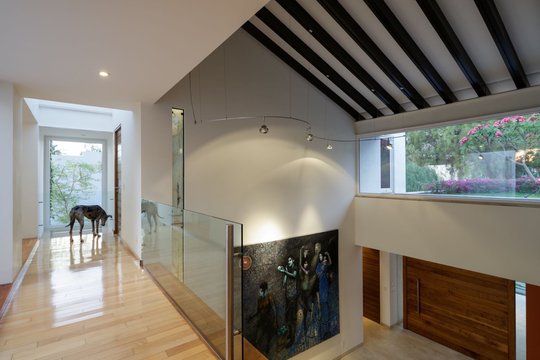 Foto del proyecto