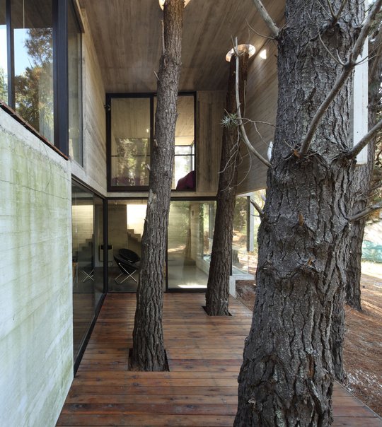 Foto del proyecto