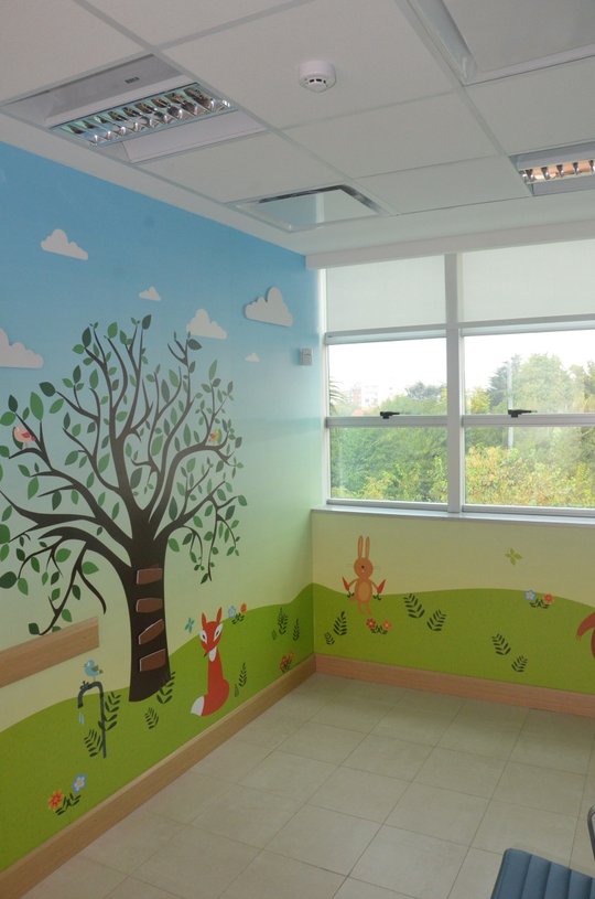 Foto del proyecto