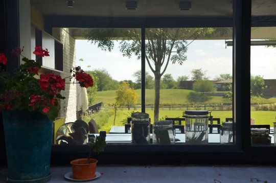 Foto del proyecto