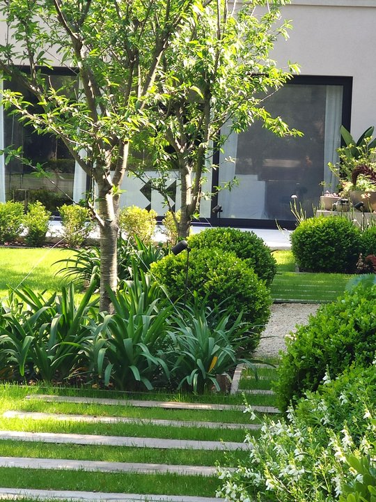 Foto del proyecto