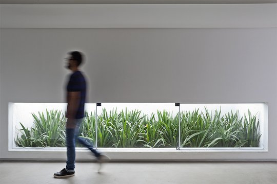 Foto del proyecto