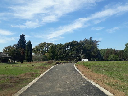 Foto del proyecto