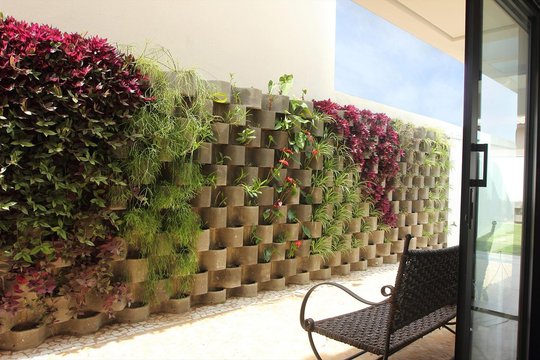 Foto del proyecto