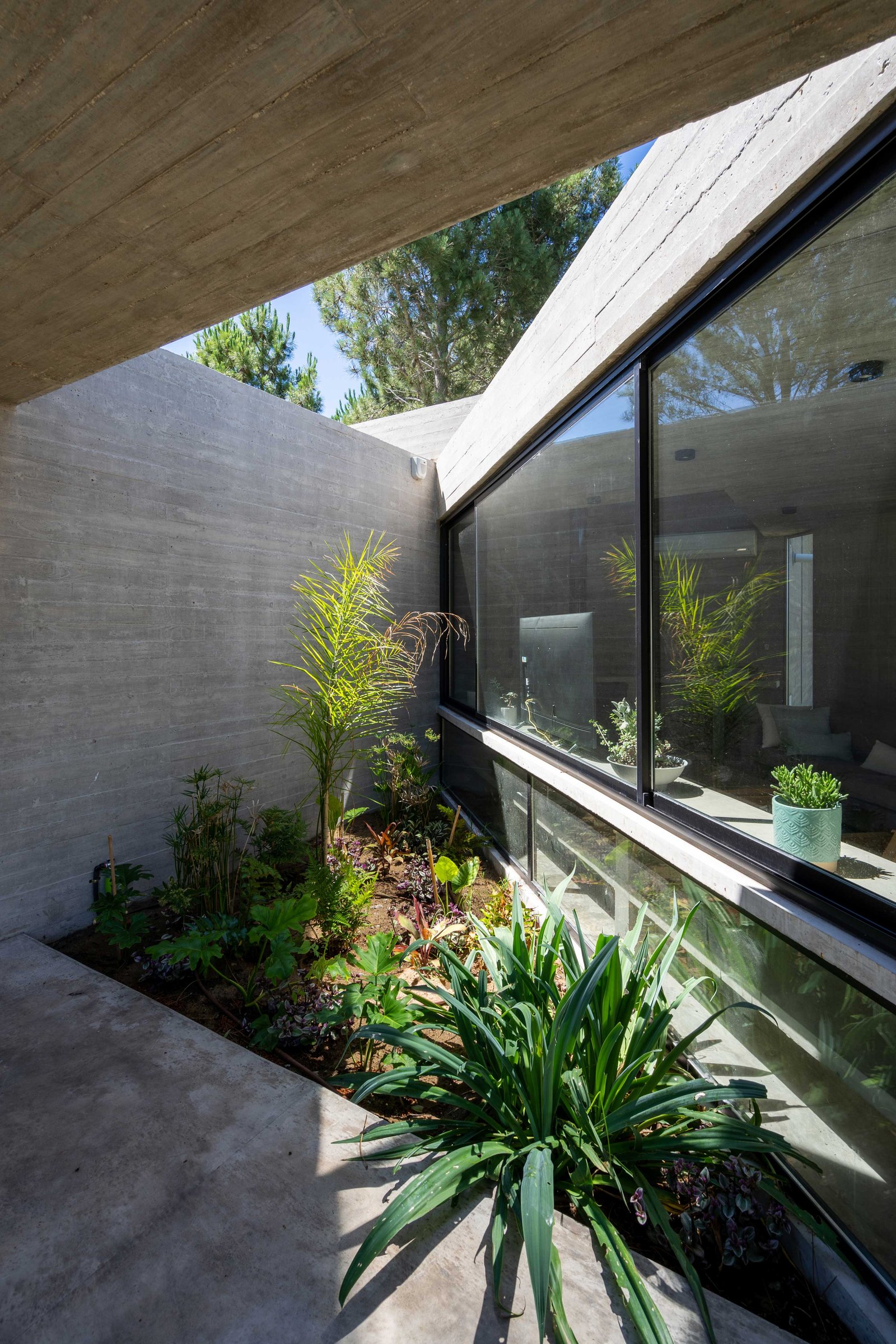 Patio moderno de hormigón con gran ventanal y vegetación exuberante — proyecto Casa Senderos, por Besonías Almeida arquitectos, en X6VF+67