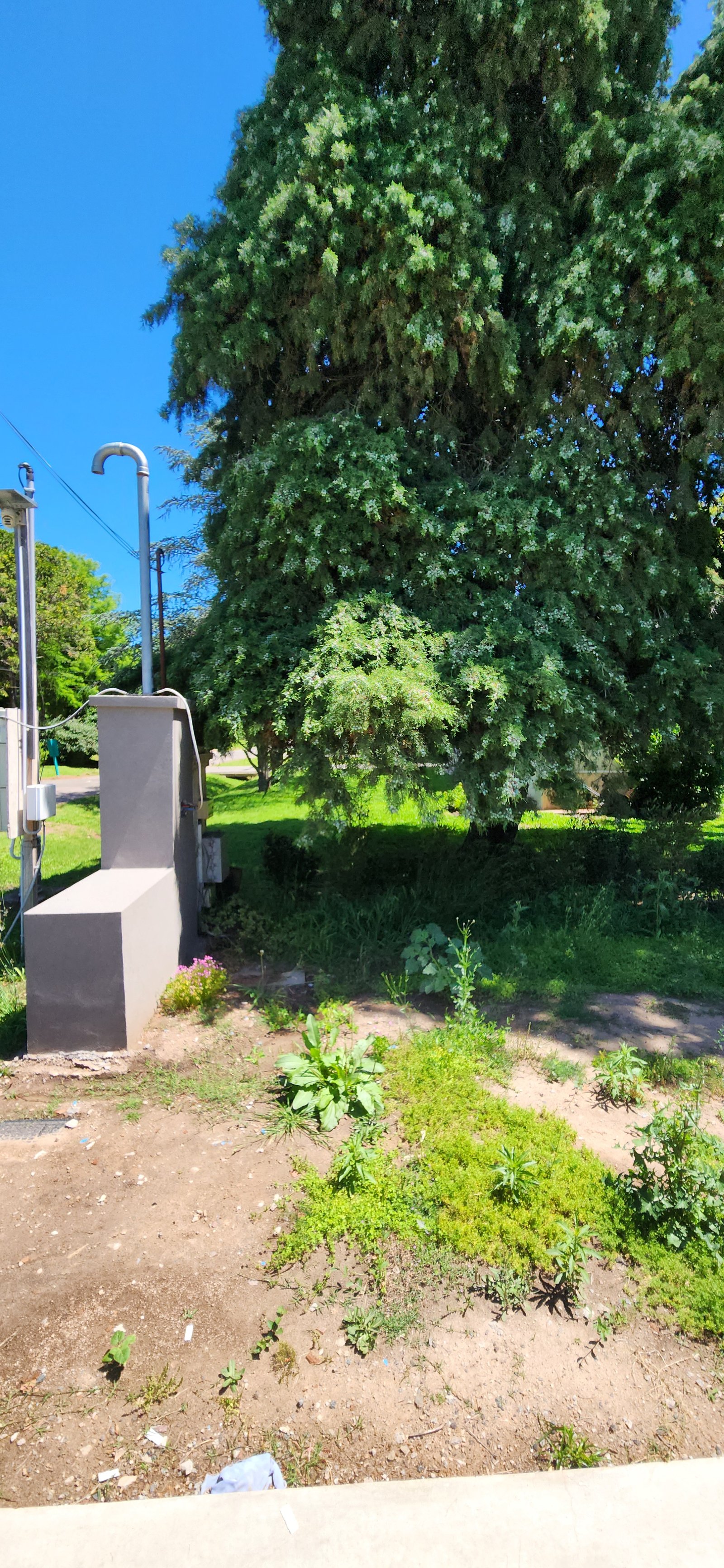 Caja de servicios gris de concreto al aire libre junto a un árbol grande — proyecto Casa CAD, por Estudio Rifahi, en Moreno