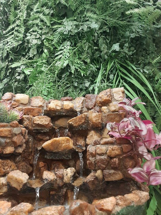 Foto del proyecto