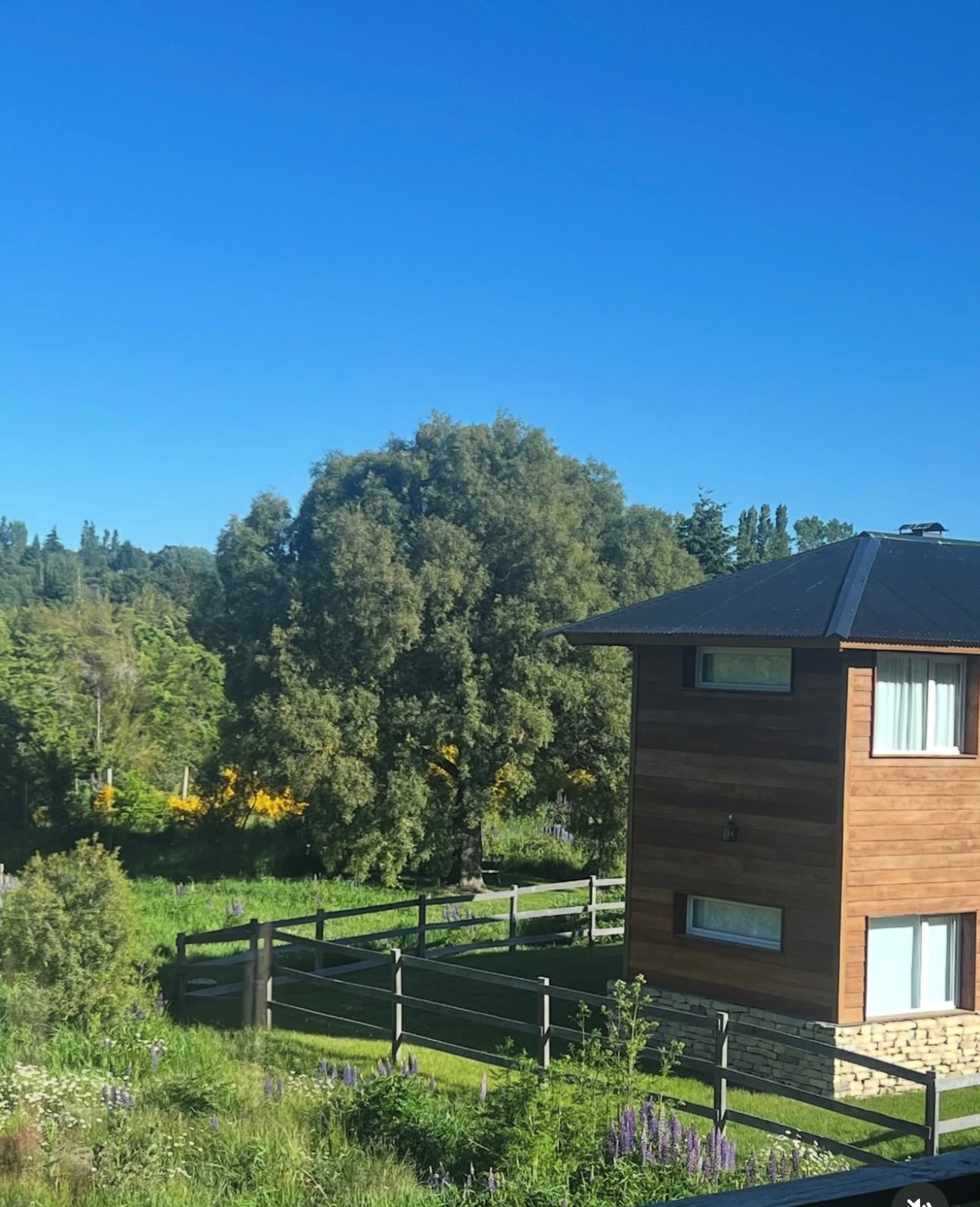 Casa moderna de madera con ventanales y cercado en bosque — proyecto La Pampita, por Arquitecta Grace Overgaard, en Lago Gutiérrez