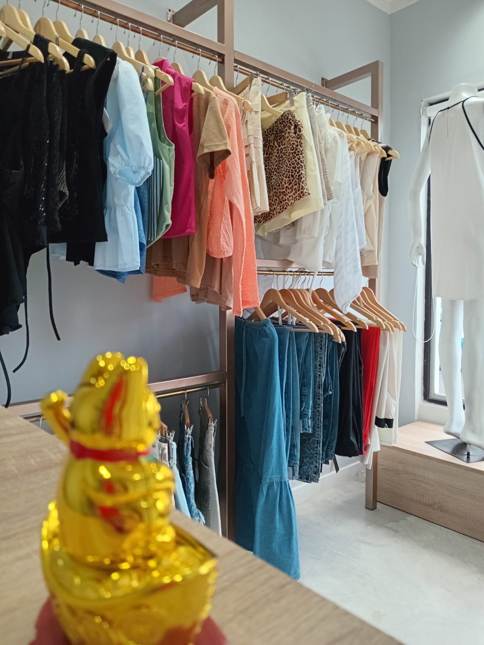 Loja de roupas com manequins e araras de metal — projeto LOCAL DE INDUMENTARIA, por TD Interiorismo, em San Fernando del Valle de Catamarca