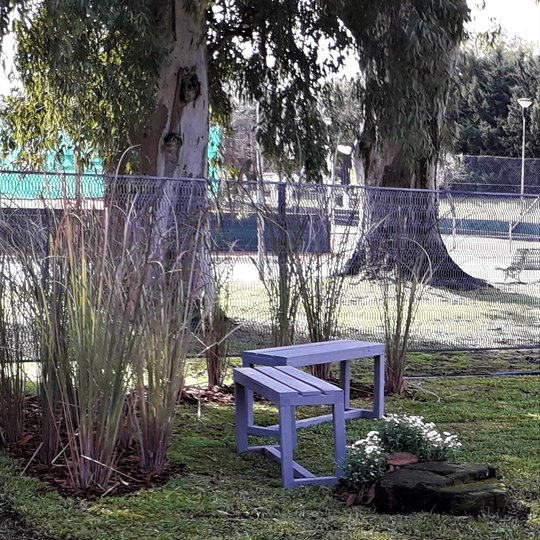 Foto del proyecto