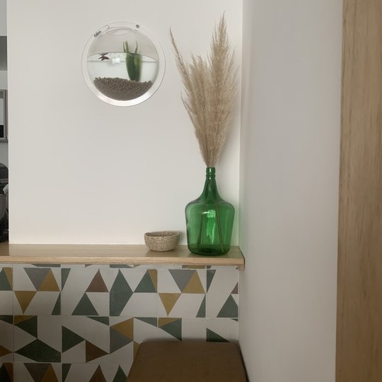 Foto del proyecto