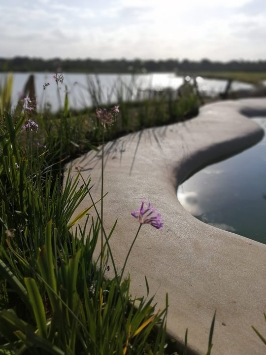 Foto del proyecto