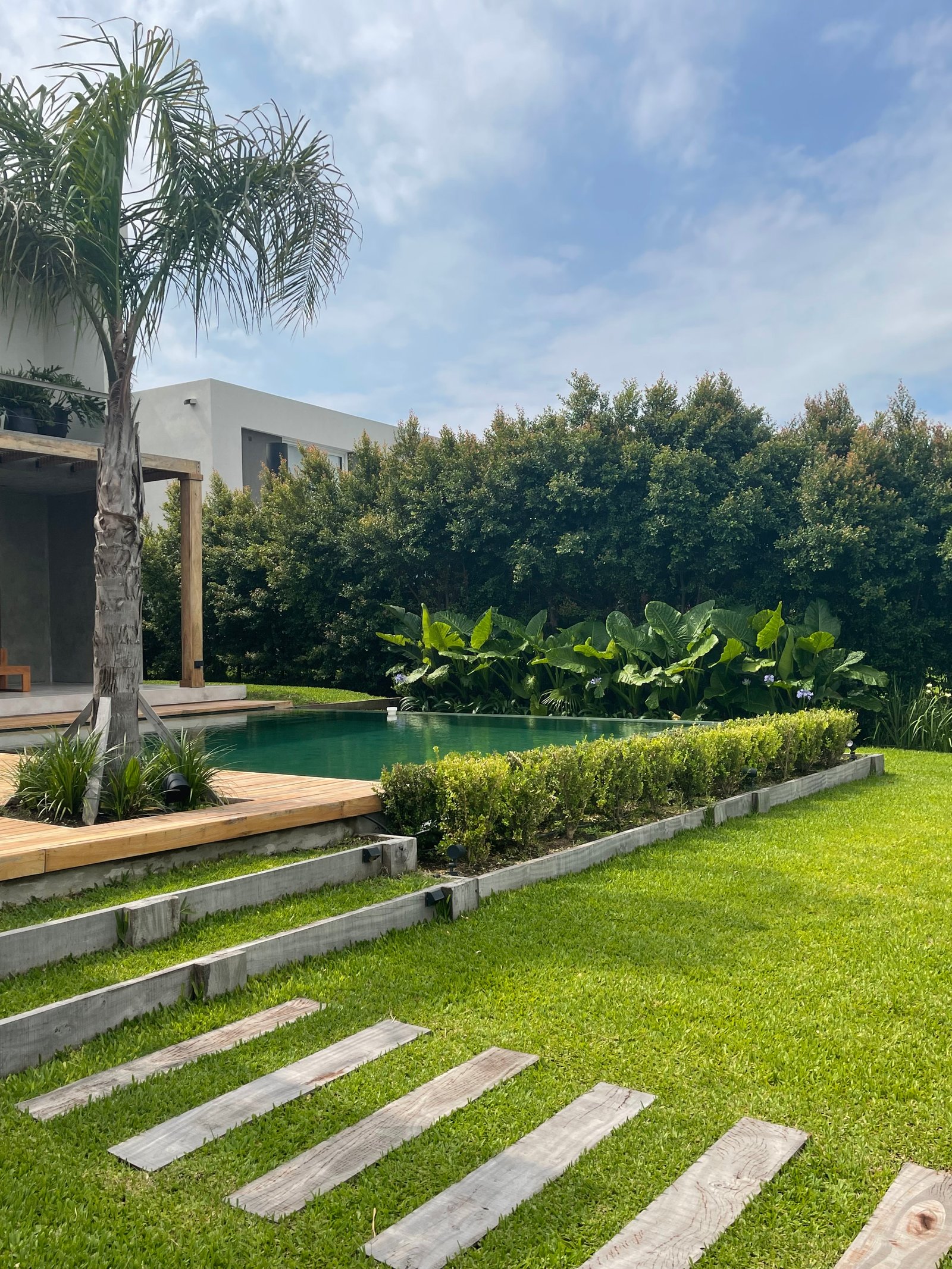 Pileta infinita moderna con deck de madera y palmeras — proyecto ALBANUEVA, por Baires Green, en B1648 Tigre