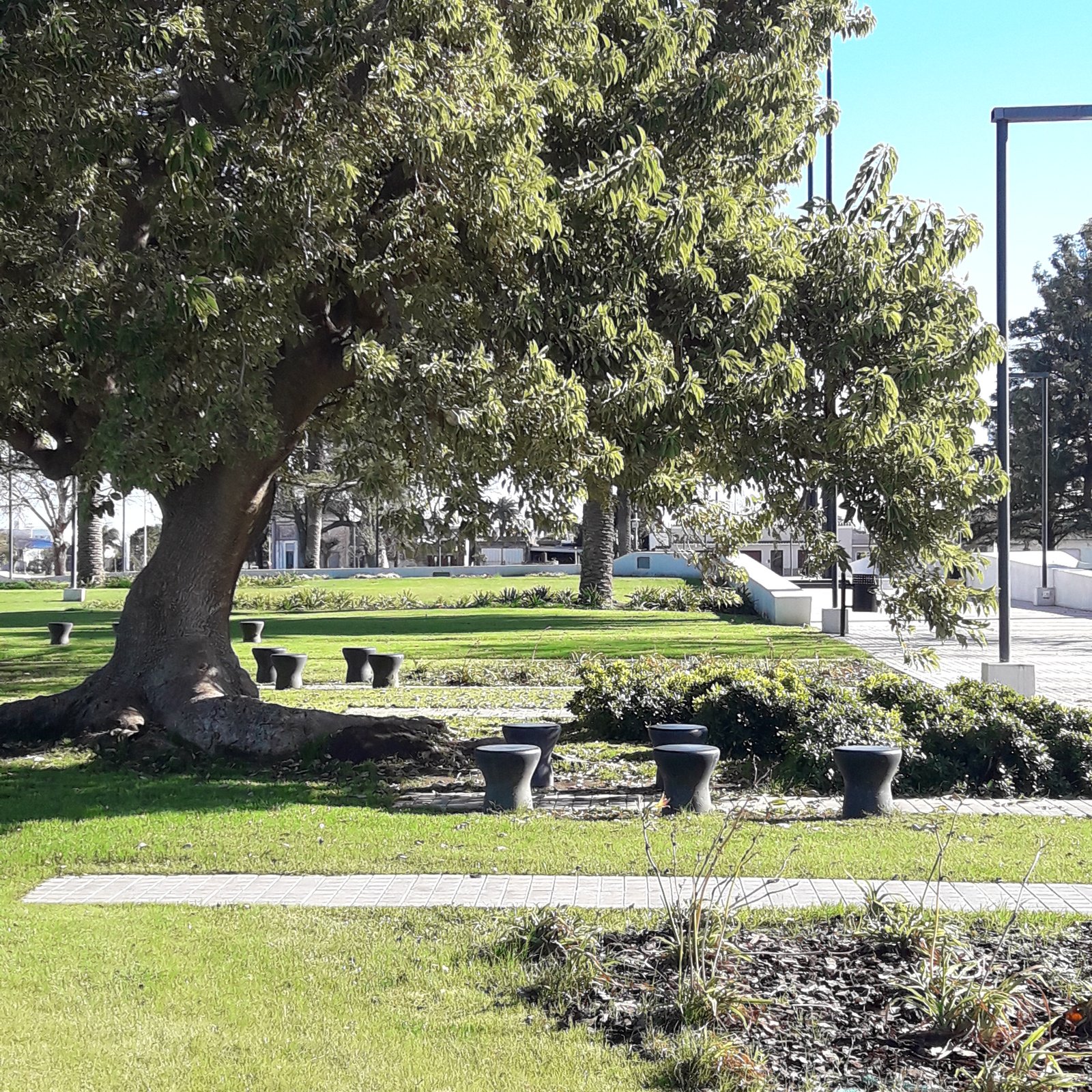 árbol grande y asientos de piedra en jardín cuidado — proyecto Plaza General San Martín, por LM arquitecta+paisajista, en RN9 271