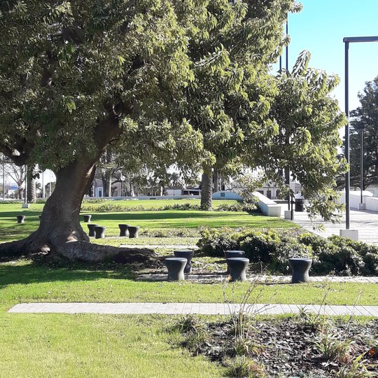 Foto del proyecto