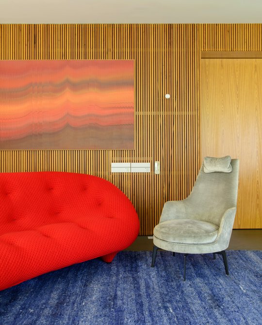 Foto del proyecto