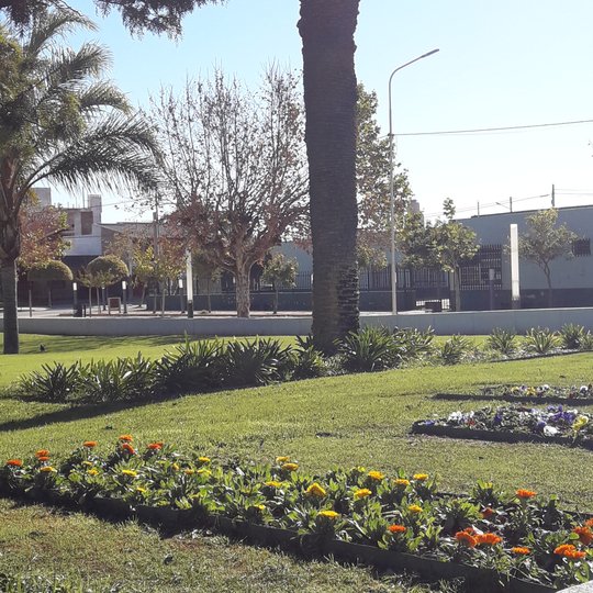 Foto del proyecto