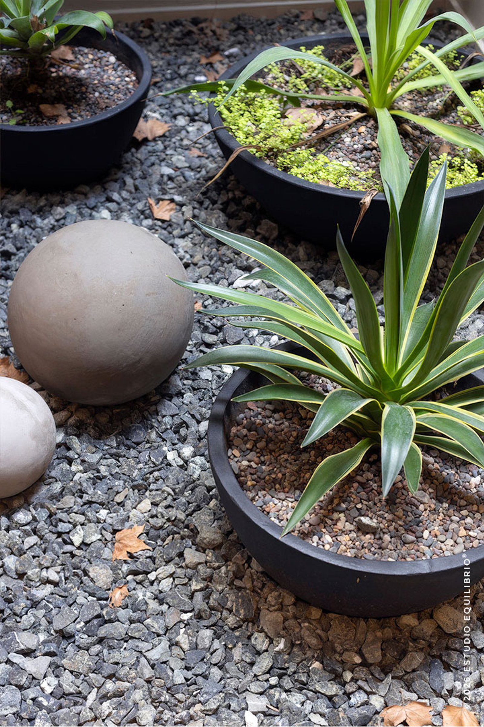 esferas decorativas em jardim de pedrisco — projeto Proyecto Zapiola, por Estudio Equilibrio, em Belgrano