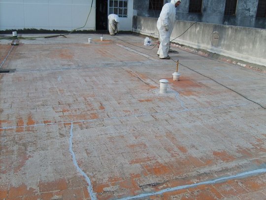 Foto del proyecto